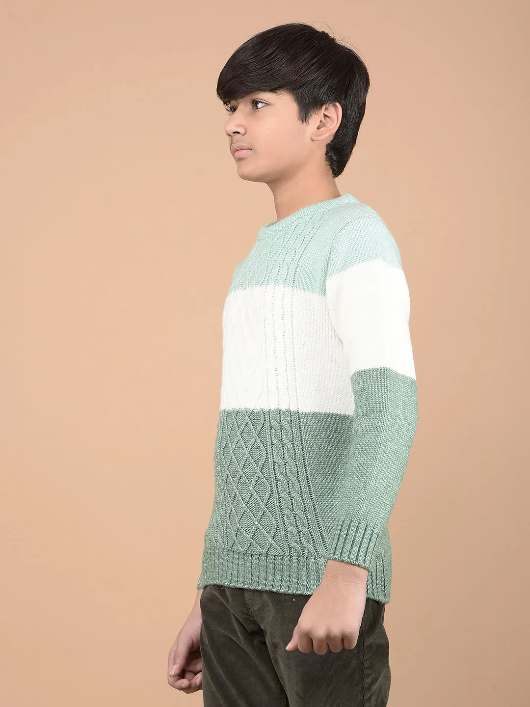 Green Printed Acrylic Sweater