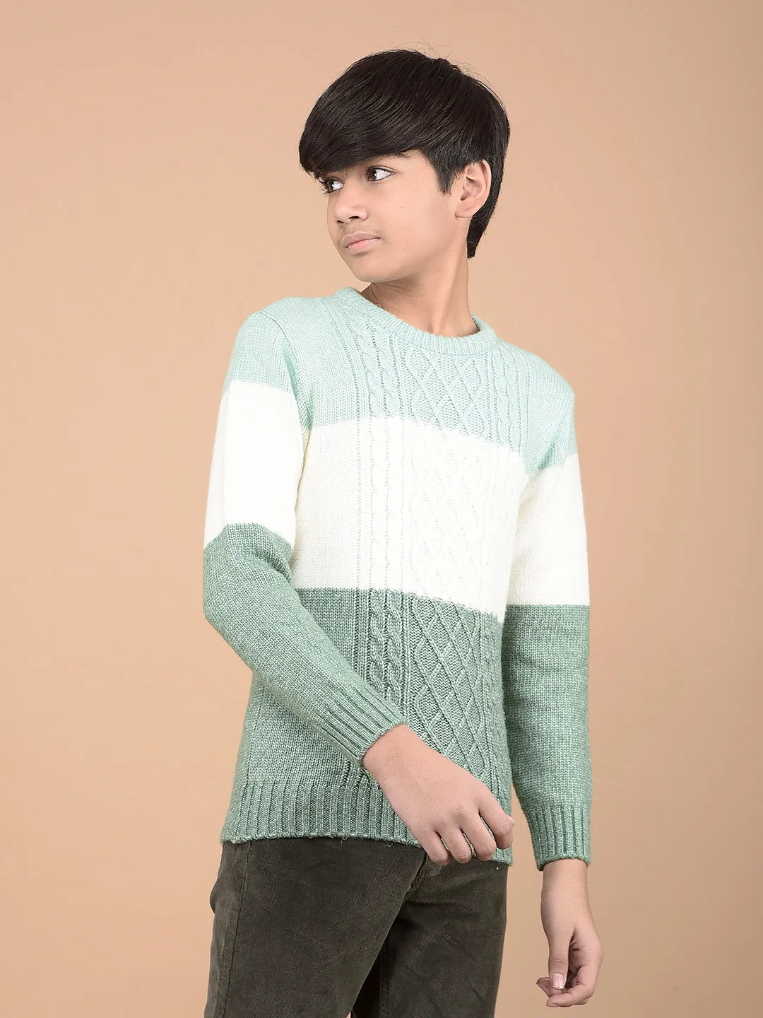 Green Printed Acrylic Sweater